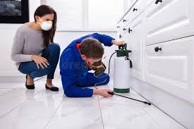 Best Fumigation Services  in Lacy Lakeview, TX